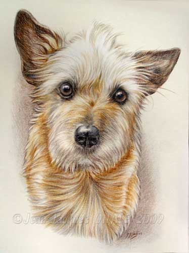 Le Portrait du Chien Mignon